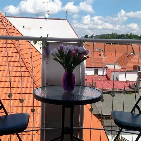 Lejlighed Krasny Apartman V Centru Pisku Písek