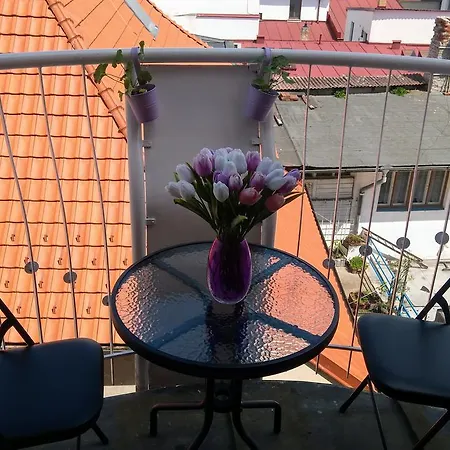 Krasny Apartman V Centru Pisku * بايسك