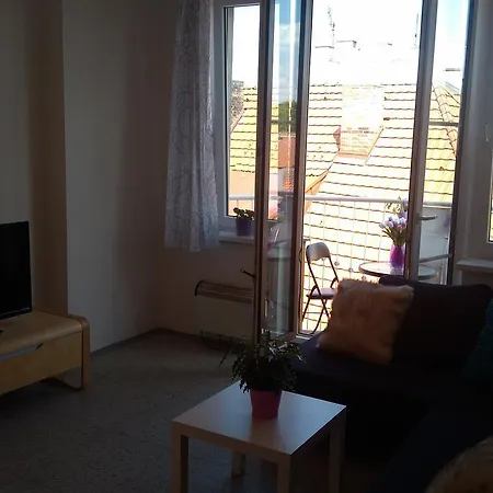 Lejlighed Krasny Apartman V Centru Pisku Písek